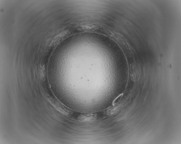 X0000060810563200511241938