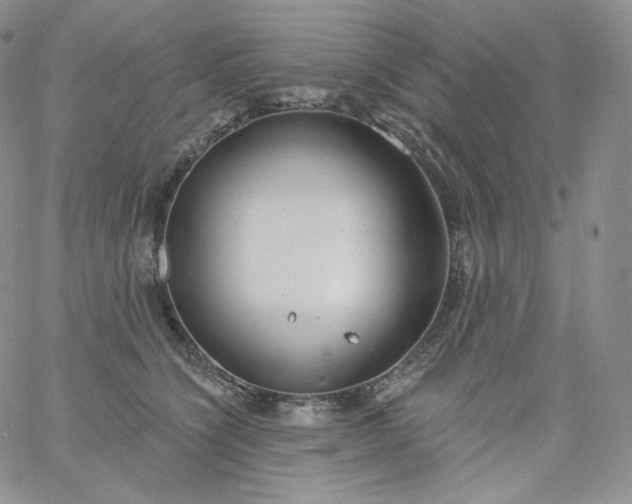 X0000060810564200511241938