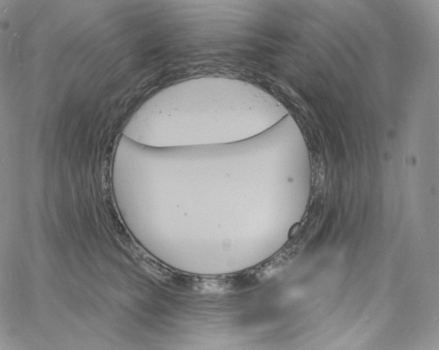 X0000060810565200511241938