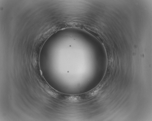 X0000060810566200511241938