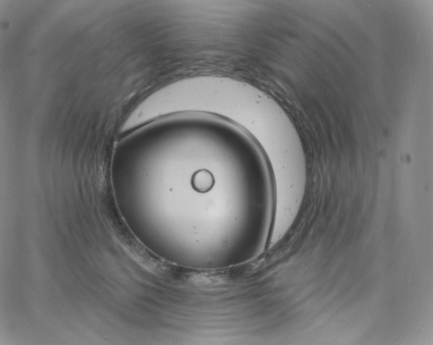 X0000060810568200511241938