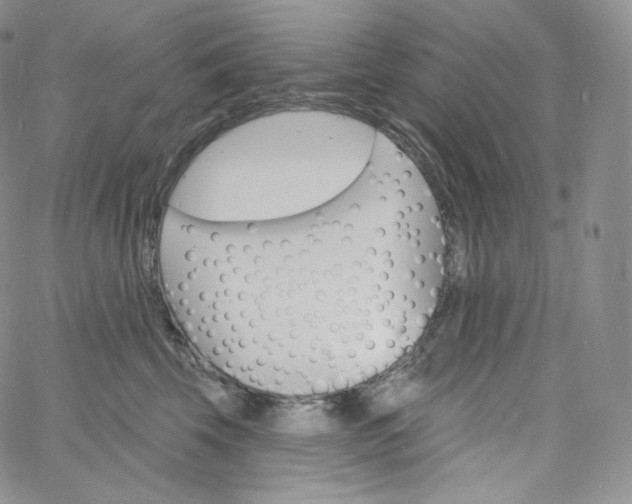 X0000060810569200511241938