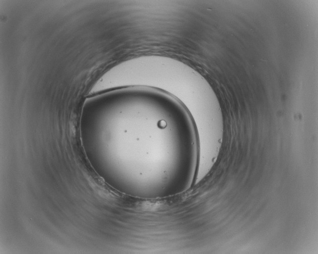 X0000060810570200511241938