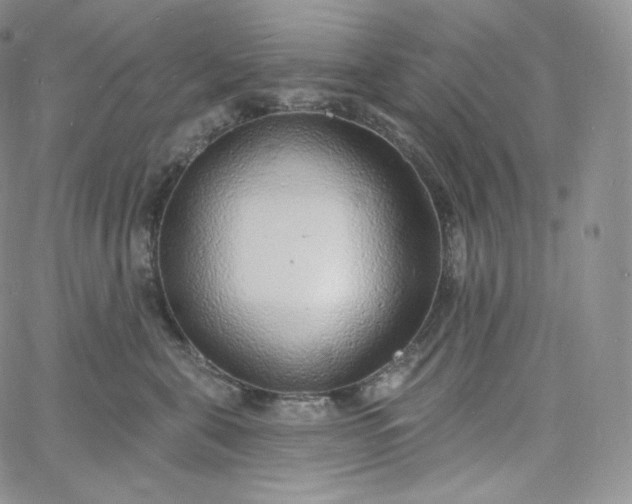 X0000060810571200511241938