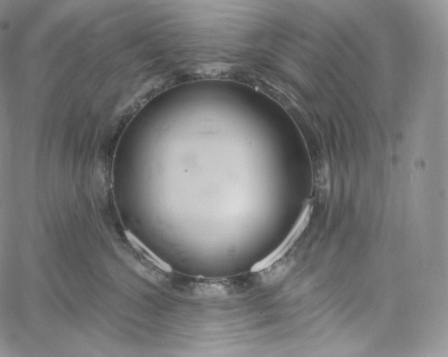 X0000060810572200511241938