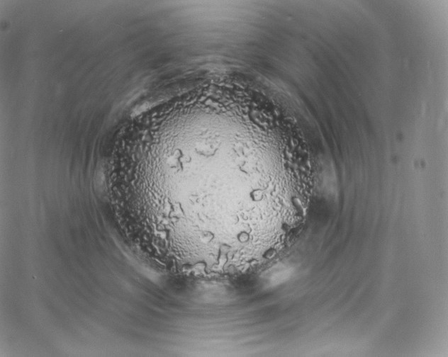 X0000060810573200511241938