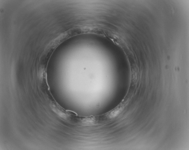 X0000060810574200511241938