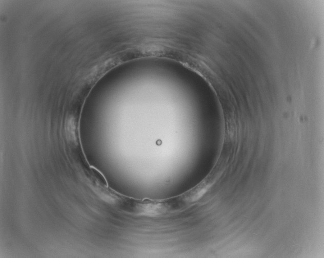 X0000060810575200511241938