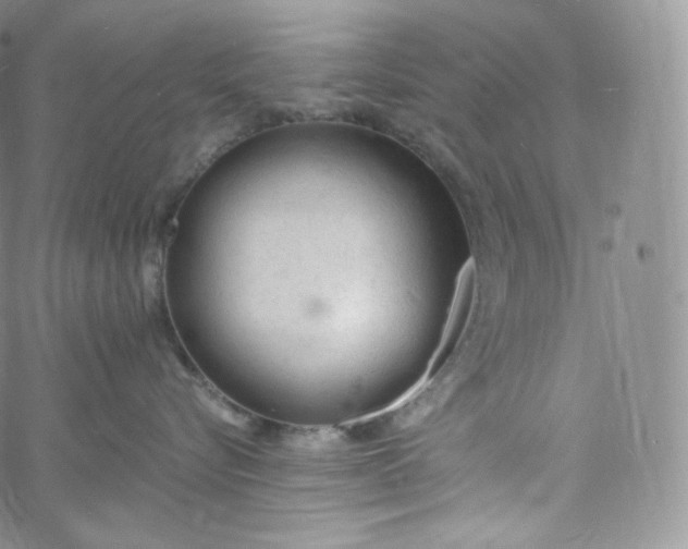 X0000060810576200511241938