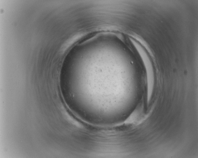 X0000060810577200511241938