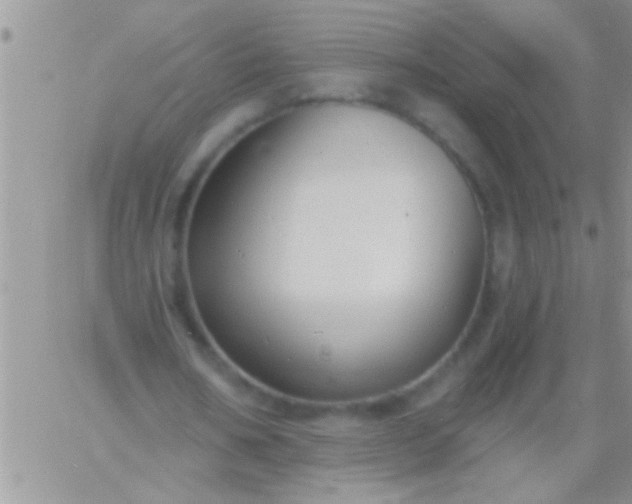 X0000060810578200511241938