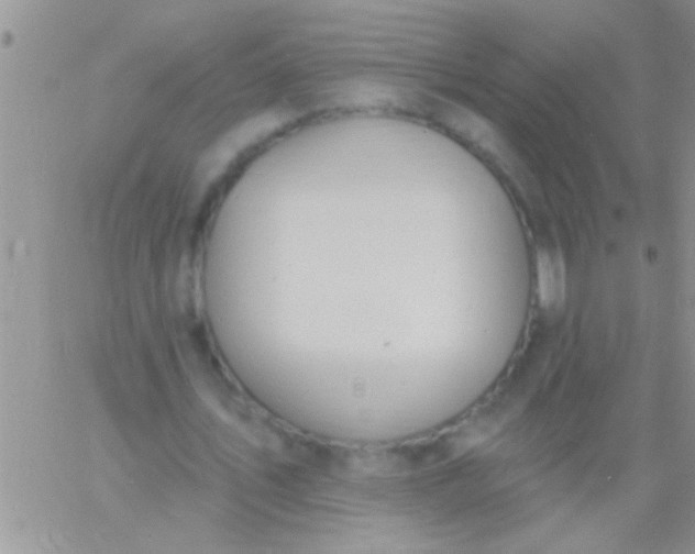 X0000060810579200511241938