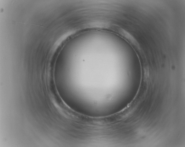 X0000060810580200511241938