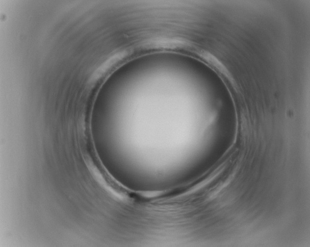 X0000060810581200511241937