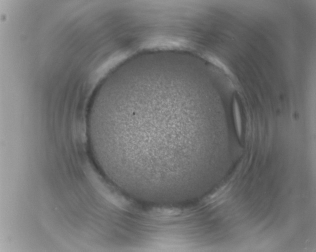 X0000060810582200511241937