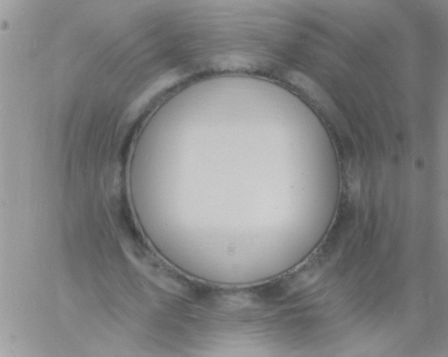 X0000060810583200511241937