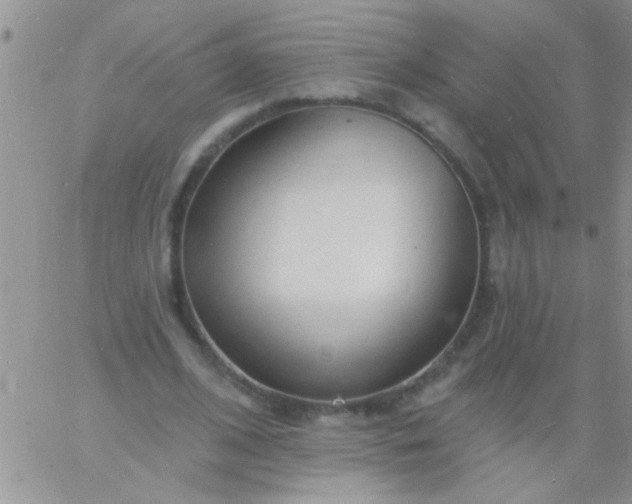 X0000060810584200511241937