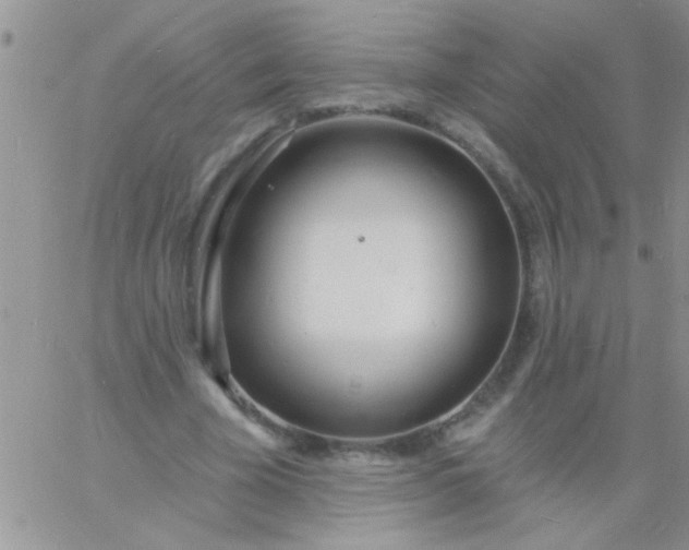 X0000060810585200511241937