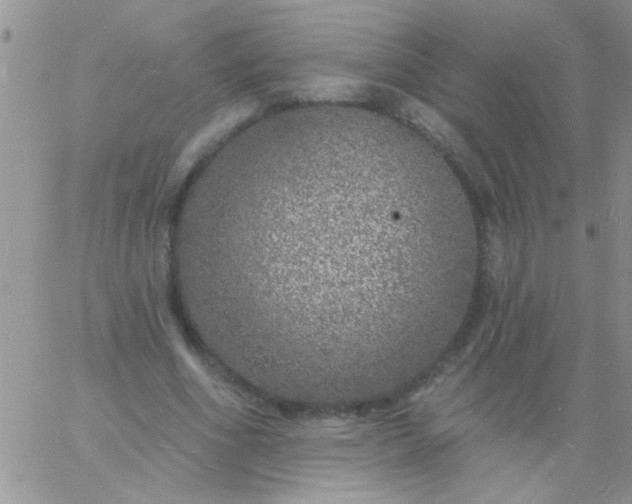 X0000060810586200511241937