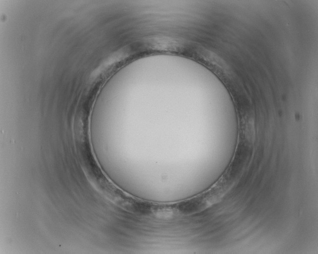 X0000060810587200511241937