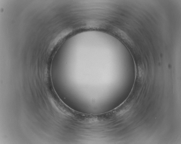 X0000060810588200511241937