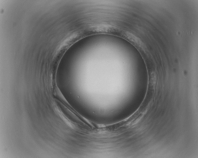 X0000060810589200511241937