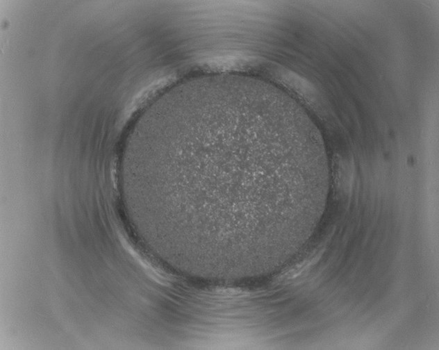 X0000060810590200511241937