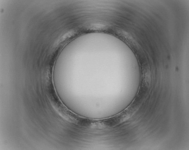 X0000060810591200511241937