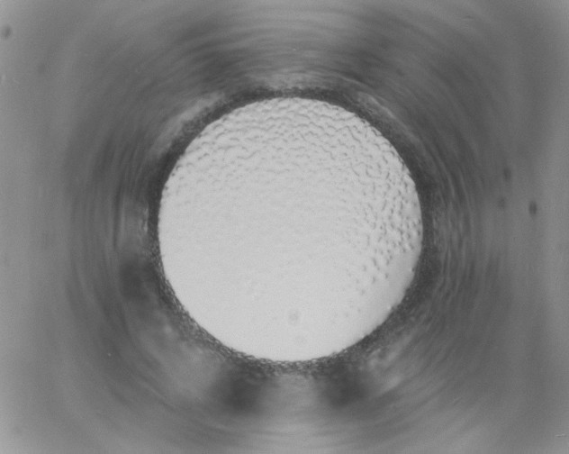 X0000060810592200511241937