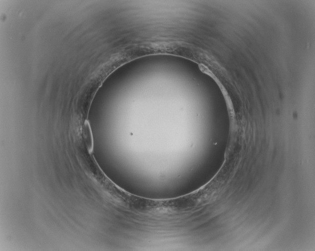 X0000060810593200511241937