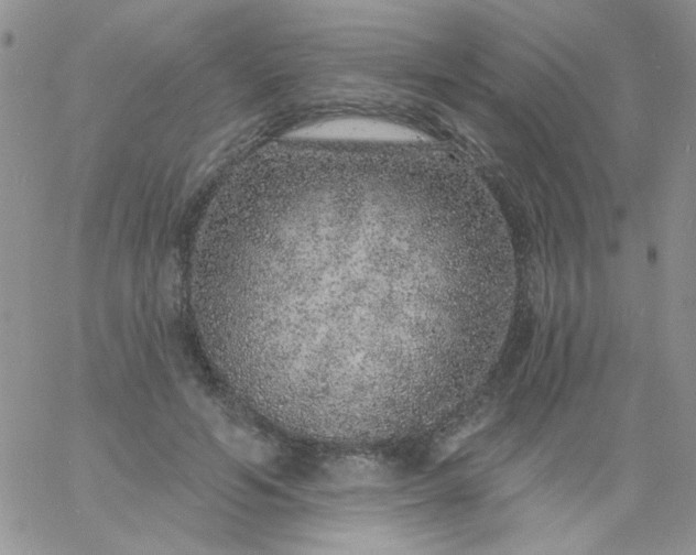 X0000060810594200511241937