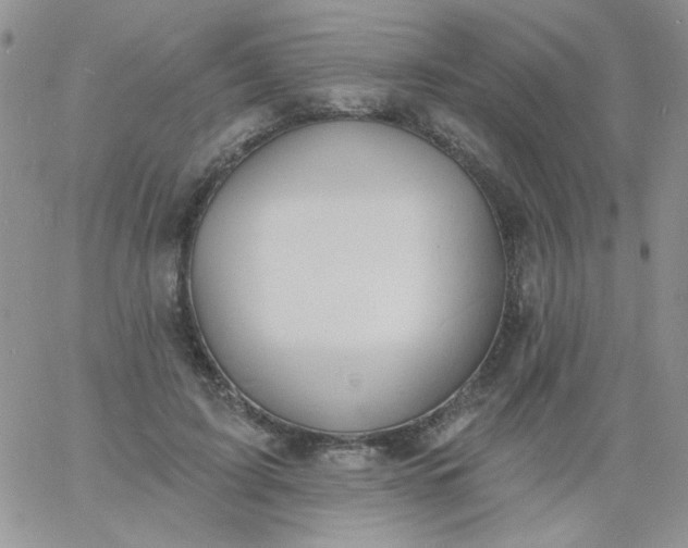 X0000060810595200511241937