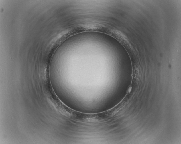 X0000060810596200511241937