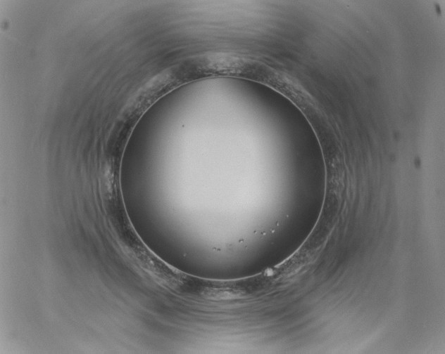 X0000060810597200511241937