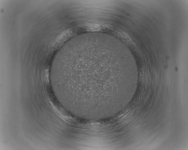 X0000060810598200511241937