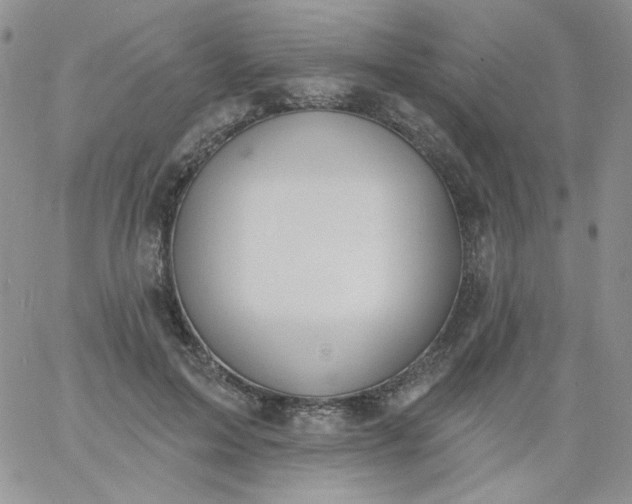 X0000060810599200511241937