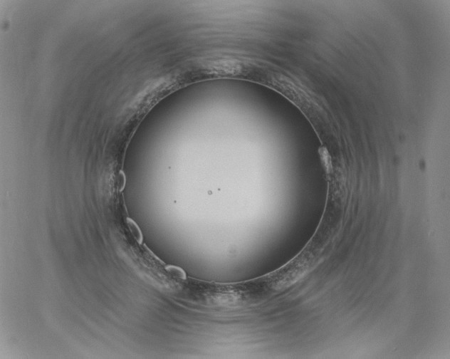 X0000060810600200511241937