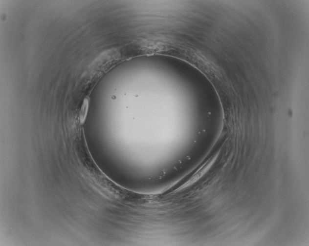 X0000060810601200511241937