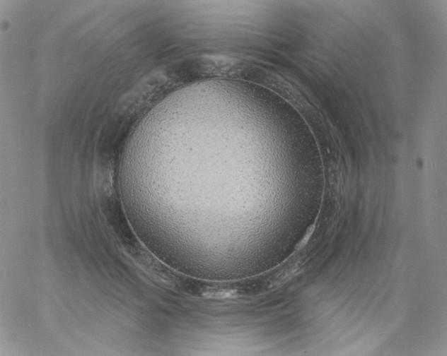 X0000060810602200511241937