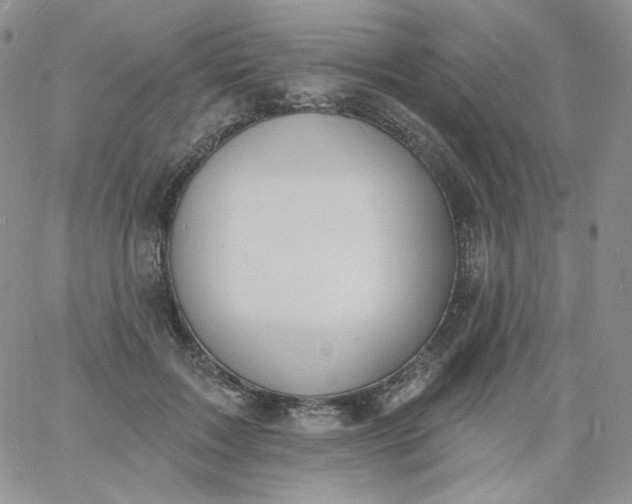 X0000060810603200511241937