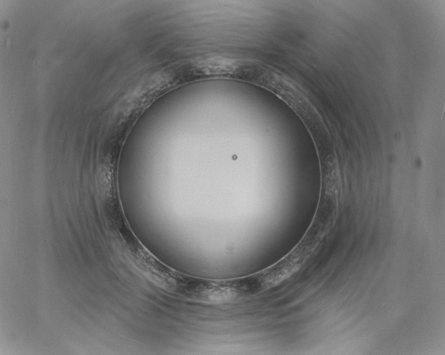 X0000060810604200511241937