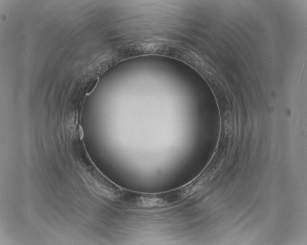 X0000060810605200511241937