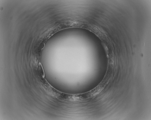 X0000060810607200511241937