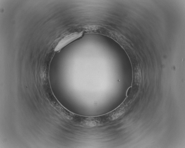 X0000060810608200511241937