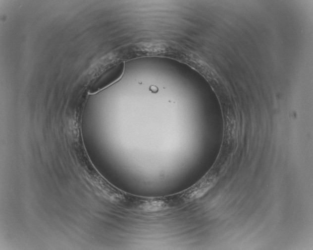 X0000060810609200511241937