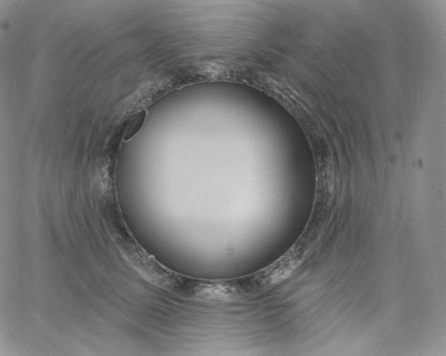 X0000060810611200511241937