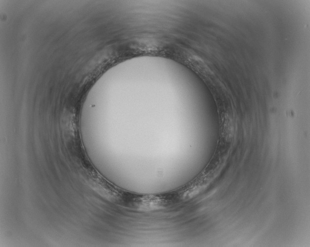 X0000060810612200511241937