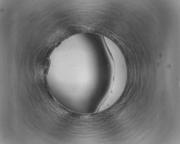 X0000060810613200511241937