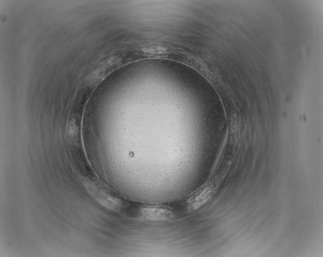 X0000060810614200511241937