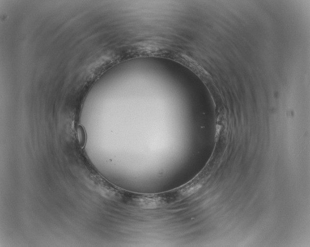 X0000060810615200511241937